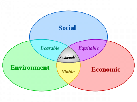 The Triple Bottom Line